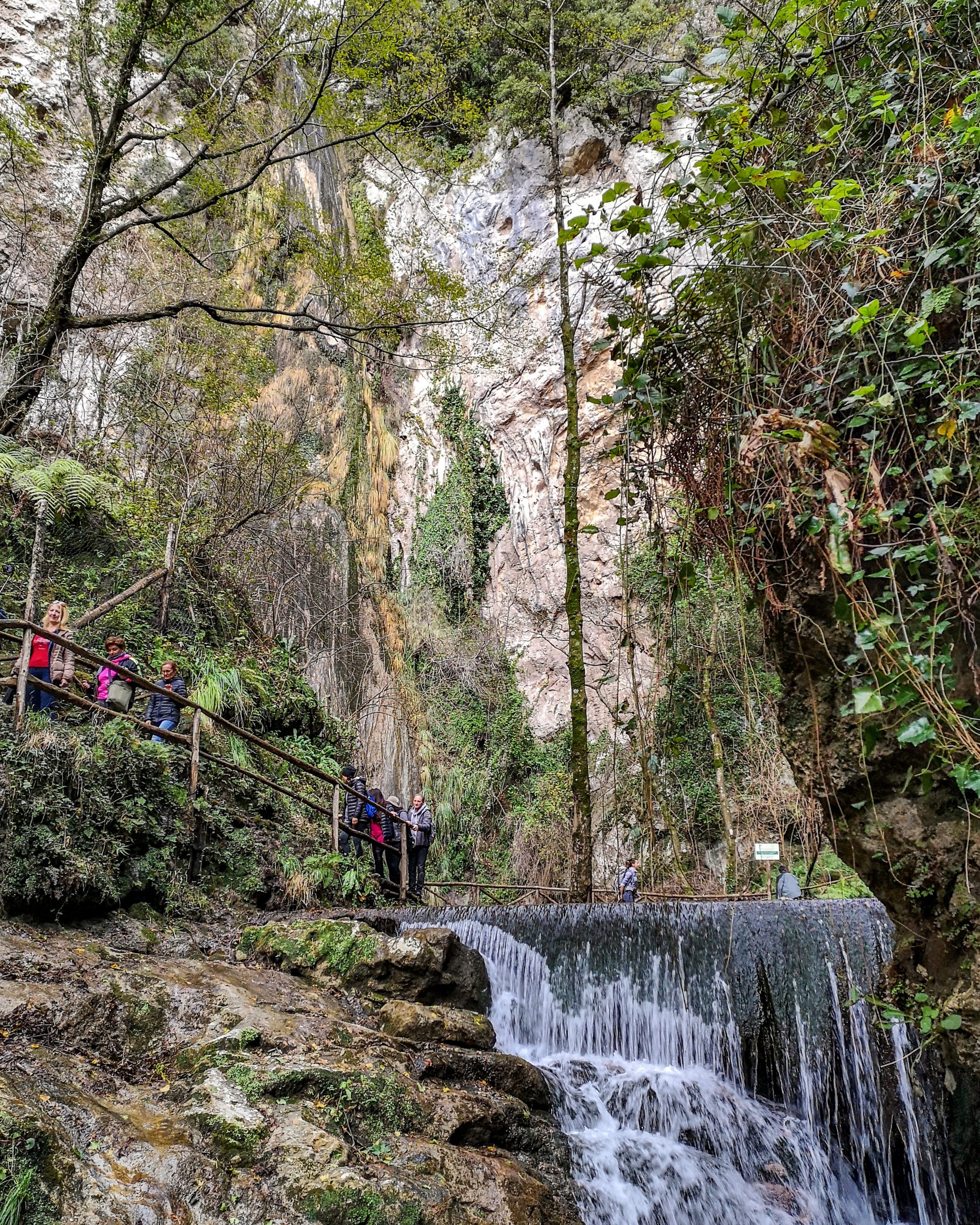 IMG_20181126_130733_648