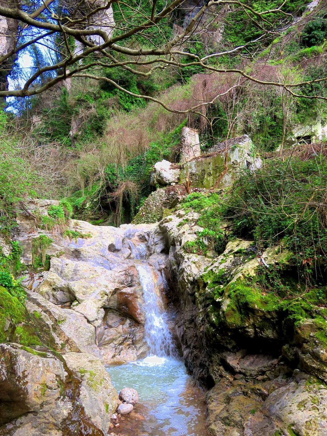 60f10363-b353-4af1-8991-a80ebd3bf88c